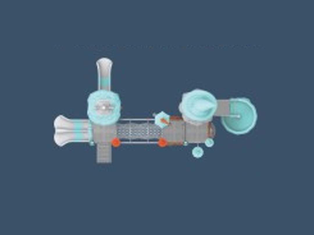 VDGIMS 30