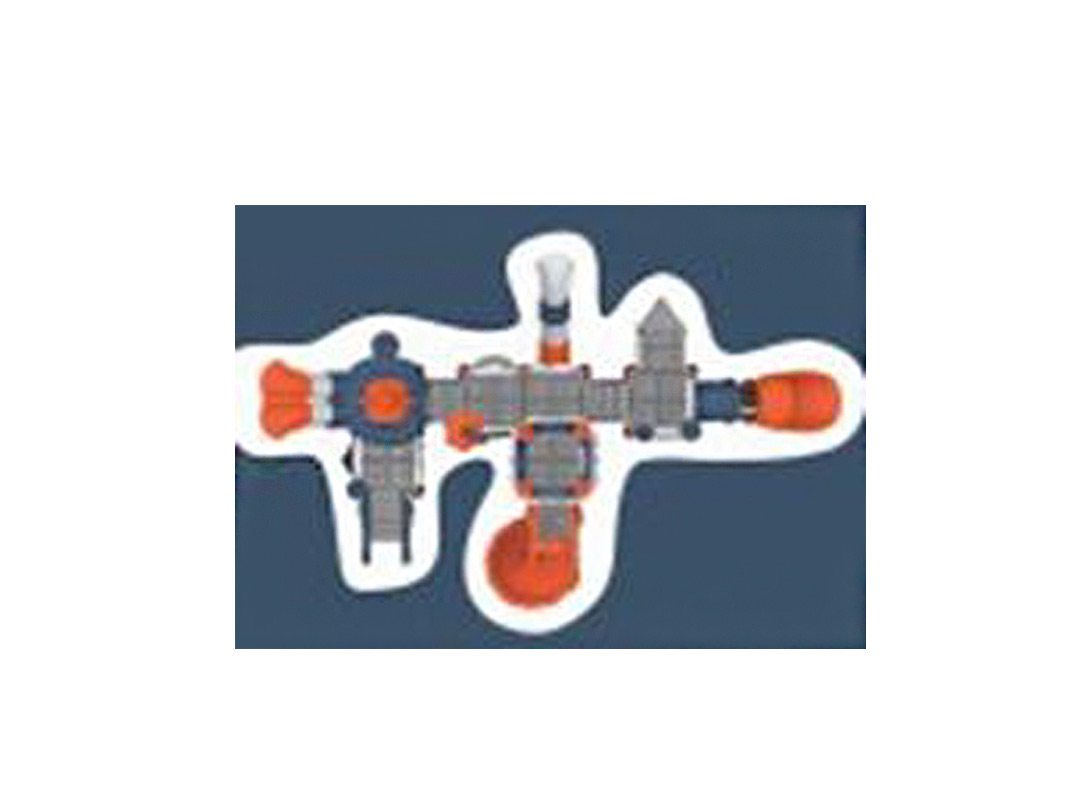VDGIMS 09