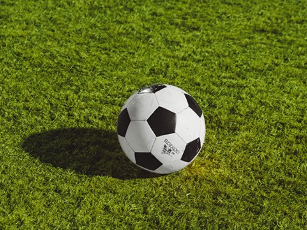 VDG Indi Genious Football Hockey Turf